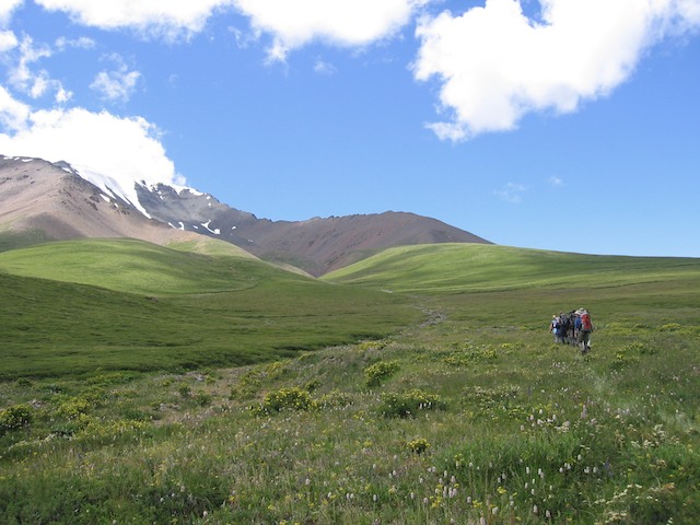 Altai Республика Алтай 4
